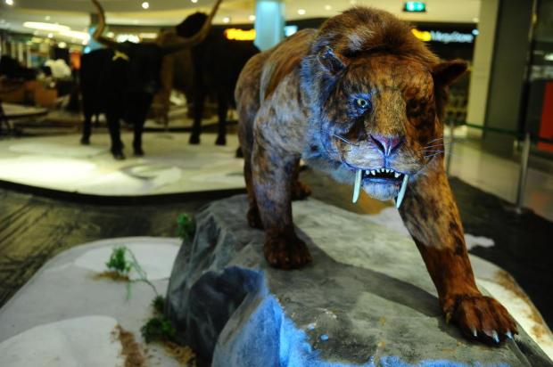 Exposição apresenta réplicas em tamanho real de animais de épocas glaciais Bruno Alencastro/Agencia RBS Exposição apresenta réplicas em tamanho real de animais de épocas glaciais Bruno Alencastro/Agencia RBS
