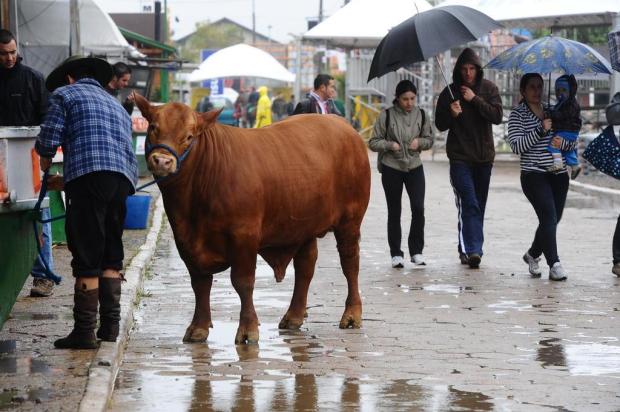 Visitantes enfrentam a chuva e passeiam no parque Assis Brasil Emílio Pedroso/Agencia RBS