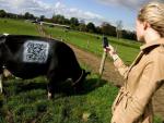 Usos criativos do código QR