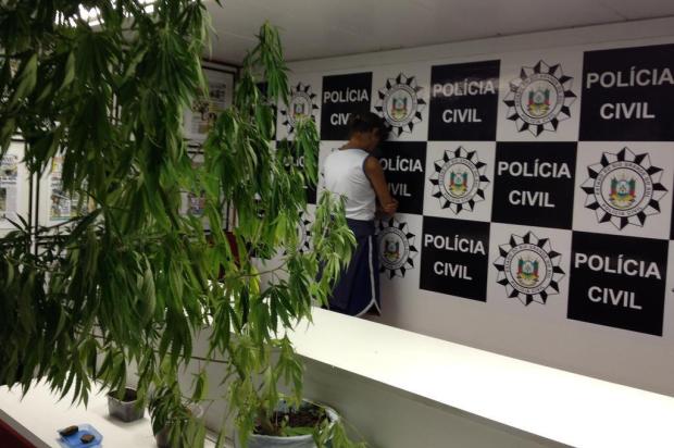 Polícia civil apreende pé de maconha de 2m de altura em Porto Alegre[+Henrico e Nanaki estiveram aqui!] 16206075