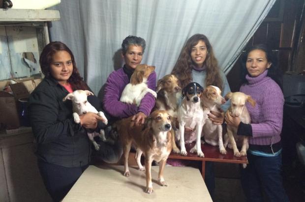 Família faz campanha para levar sete cães na mudança para Belém do Pará Ana Karina Giacomelli/Agência RBS