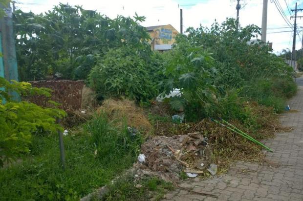 Resultado de imagem para terreno baldio