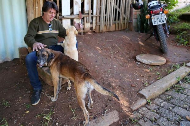 Cachorros comunitários fazem sucesso nas vizinhanças e têm até lei que os protege Fernando Gomes/Agencia RBS