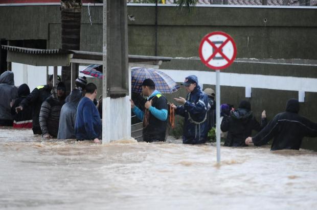 Resultado de imagem para Período de chuvas aumenta riscos de leptospirose
