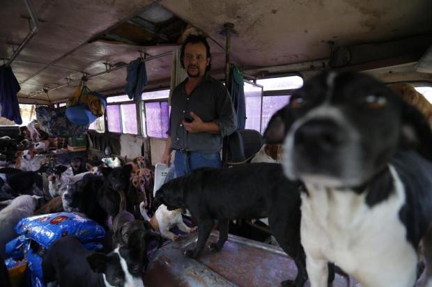 Vítima da enchente usa ônibus para recolher 140 cães abandonados Diego Vara/Agencia RBS