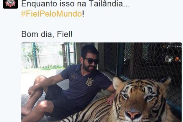 Provocação? Conta do Corinthians no Twitter posta foto com Tigre - Inter -  Esporte - Diário Gaúcho