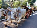 Lomba Grande comemora dia do colono em desfile