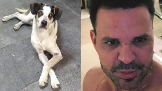 Cantor sertanejo Eduardo Costa desdenha de morte de cachorro e gera revolta Colagem/Reprodução