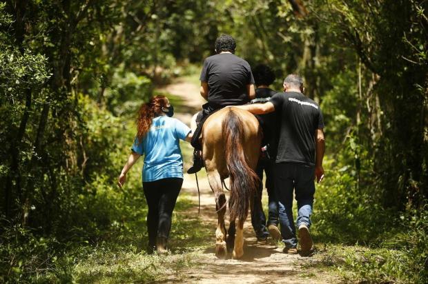 Procura por terapia com cavalos cresce em Porto Alegre em função da pandemia Félix Zucco/Agencia RBS