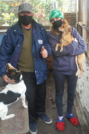 Protetora busca ajuda para construir canis para cães resgatados Arquivo Pessoal / Arquivo Pessoal/Arquivo Pessoal