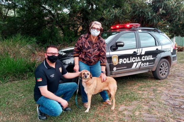 Cão comunitário de Capela de Santana é encontrado em cidade vizinha, após 20 dias de abandono  Polícia Civil / Divulgação/Divulgação