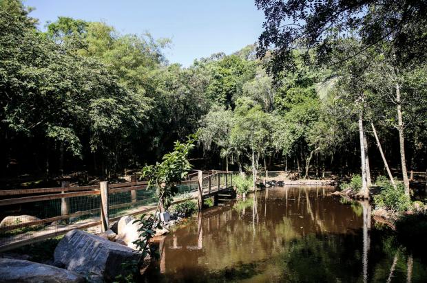 Parque de Canoas terá área zen pública para lazer e relaxamento junto à natureza André Ávila / Agencia RBS/Agencia RBS
