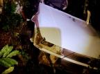 Colisão de carro contra árvore deixa dois mortos no Vale do Sinos Corpo de Bombeiros / Divulgação/Divulgação