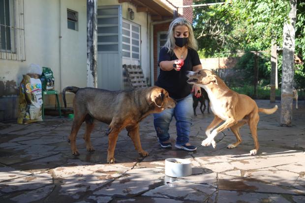 Natal Animal: protetora faz campanha para alimentar cães abandonados André Ávila / Agencia RBS/Agencia RBS