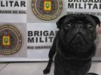 Homem é detido em Gramado depois de tentar vender cachorro que se perdeu durante queima de fogos no Ano Novo Divulgação / Brigada Militar/Brigada Militar