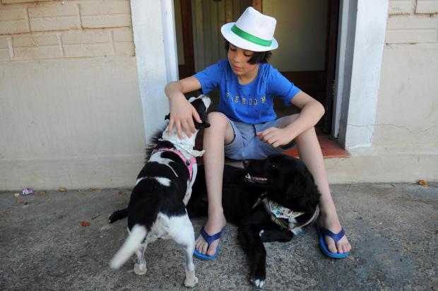 Em Antônio Prado, garoto de 11 anos lava e perfuma cachorros de rua para facilitar adoção Marcelo Casagrande / Agencia RBS/Agencia RBS