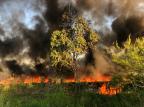 Fogo atinge vegetação e gera grande coluna de fumaça na zona norte de Porto Alegre Tiago Bitencourt / Agencia RBS/Agencia RBS