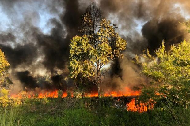 Fogo atinge vegetação e gera grande coluna de fumaça na zona norte de Porto Alegre Tiago Bitencourt / Agencia RBS/Agencia RBS