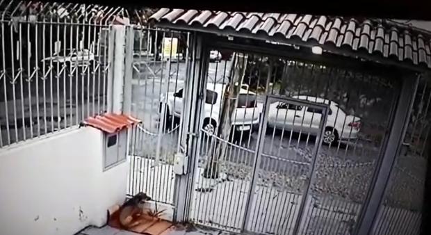 Passageiro assassinado a tiros na zona norte de Porto Alegre tentou escapar ao perceber que era alvo de emboscada; veja vídeo Polícia Civil / Divulgação/Divulgação