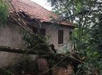 Chuva provoca falta de luz, derruba árvores e causa transtornos no RS Ronaldo Bernardi / Agencia RBS/Agencia RBS