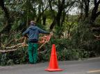 Porto Alegre tem sete árvores caídas e semáforos desligados em cinco cruzamentos por causa de tempestade Anselmo Cunha / Agencia RBS/Agencia RBS