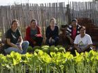 Moradores da Ocupação Justo cultivam horta comunitária  Lauro Alves / Agencia RBS/Agencia RBS